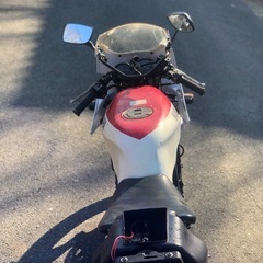 TZR50 不動　(4EU)の画像