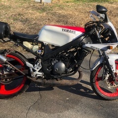 TZR50 不動　(4EU)の画像