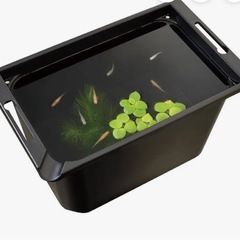 メダカ水槽の画像