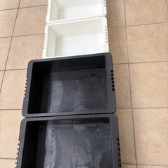 メダカ水槽の画像