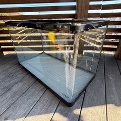 水槽　GEX 60cm 曲げガラス　ヒーター　LED メダカ　アクアリウム　の画像