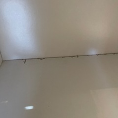 【棚】【カラーボックス3段】クリーニング済み【管理番号1230】野の画像