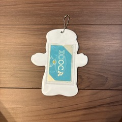 テッドパスケースの画像