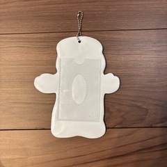 テッドパスケースの画像