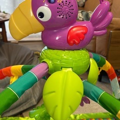 フィッシャープライス　レインフォレストデラックスジムの画像