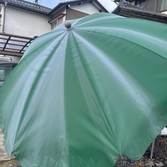 ガーデンパラソルの画像