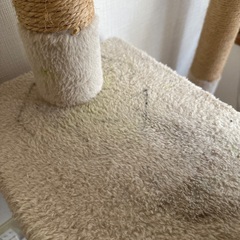 【お話し中】キャットタワーの画像