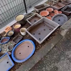 【0円】盆栽鉢・植木鉢  大小たくさんお譲りします。の画像