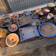 【0円】盆栽鉢・植木鉢  大小たくさんお譲りします。の画像