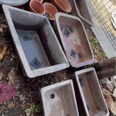 【0円】盆栽鉢・植木鉢  大小たくさんお譲りします。の画像