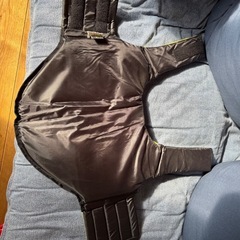 犬用ライフジャケット
の画像