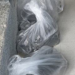 積水ハウス　庭石　交渉中　　　の画像