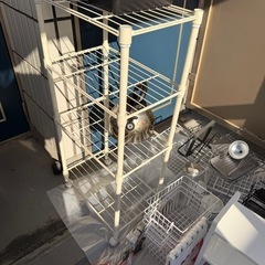 キッチン、ランドリー、収納用品、等の画像