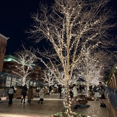 🐾【今日18:00〜】🐾 年末の夜、少し外を歩きませんか？