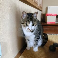 小顔パッチリお目々のニコちゃん