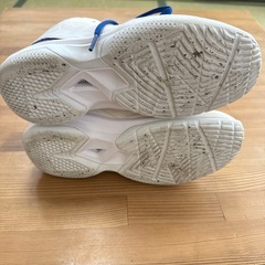 バスケ　室内シューズ
　の画像