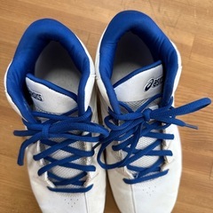 バスケ　室内シューズ
　の画像