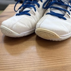 バスケ　室内シューズ
　の画像