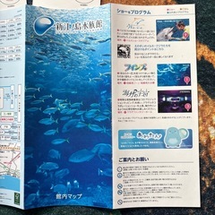 　訳あり！！新江ノ島水族館　入場券大人2枚の画像