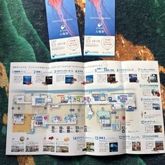 　訳あり！！新江ノ島水族館　入場券大人2枚の画像