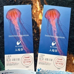 　訳あり！！新江ノ島水族館　入場券大人2枚の画像