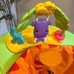 Fisher-Price レインフォレスト・ジャンパルーIIの画像