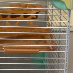 ハムスター　ケージ
の画像