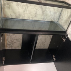水槽の画像