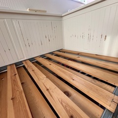 ヘムネス　デイーベッドの画像