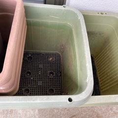 ガーデニング　プランターの画像