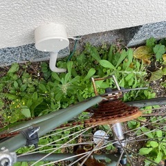 自転車　の画像