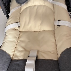 KATOJI バウンサーの画像