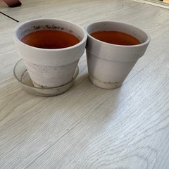 家庭菜園キット7点の画像