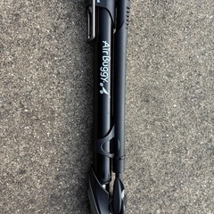 エアバギーココダブルの画像