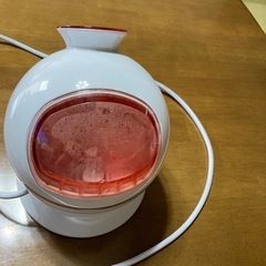 加湿器、美顔スチーマー冷熱噴霧機能搭載の画像