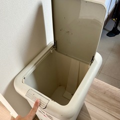 	【無料】ニトリ 30L ゴミ箱の画像