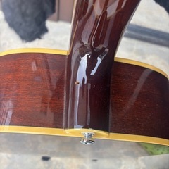 エピブォン　アコースティックギターの画像