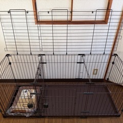 ペットケージの画像
