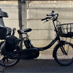 PAS babby（パス バビー）「PA20BSPR」20インチの画像