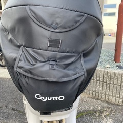 【ポケットキー】【2024年】ギュットクルームの画像