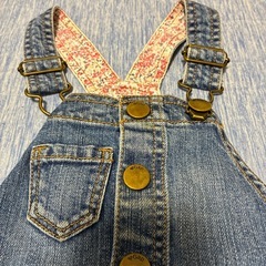 オーバーオール95女の子の画像