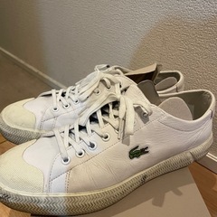 【年末年始SALE★値下げ可★】 Lacoste ホワイトレザー スニーカー
の画像