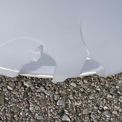 シーリングライト新品訳あり
の画像