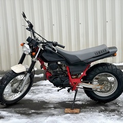 タイヤ前後新品！ YAMAHA TW200の画像