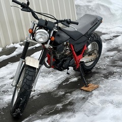 タイヤ前後新品！ YAMAHA TW200の画像
