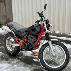 タイヤ前後新品！ YAMAHA TW200の画像