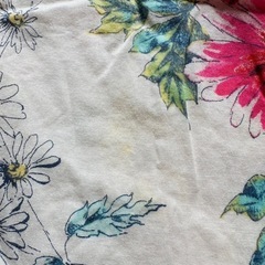 GAP baby 12-18months 夏セットの画像