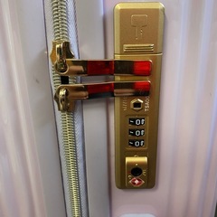 ☆LUNALUX  キャリーバッグの画像