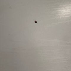 テレビボードの画像