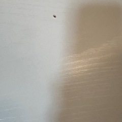 テレビボードの画像